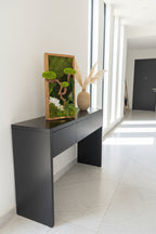 Cadre végétal stabilisé « Bonsaï Zen » – Pièce unique 50 × 25 cm