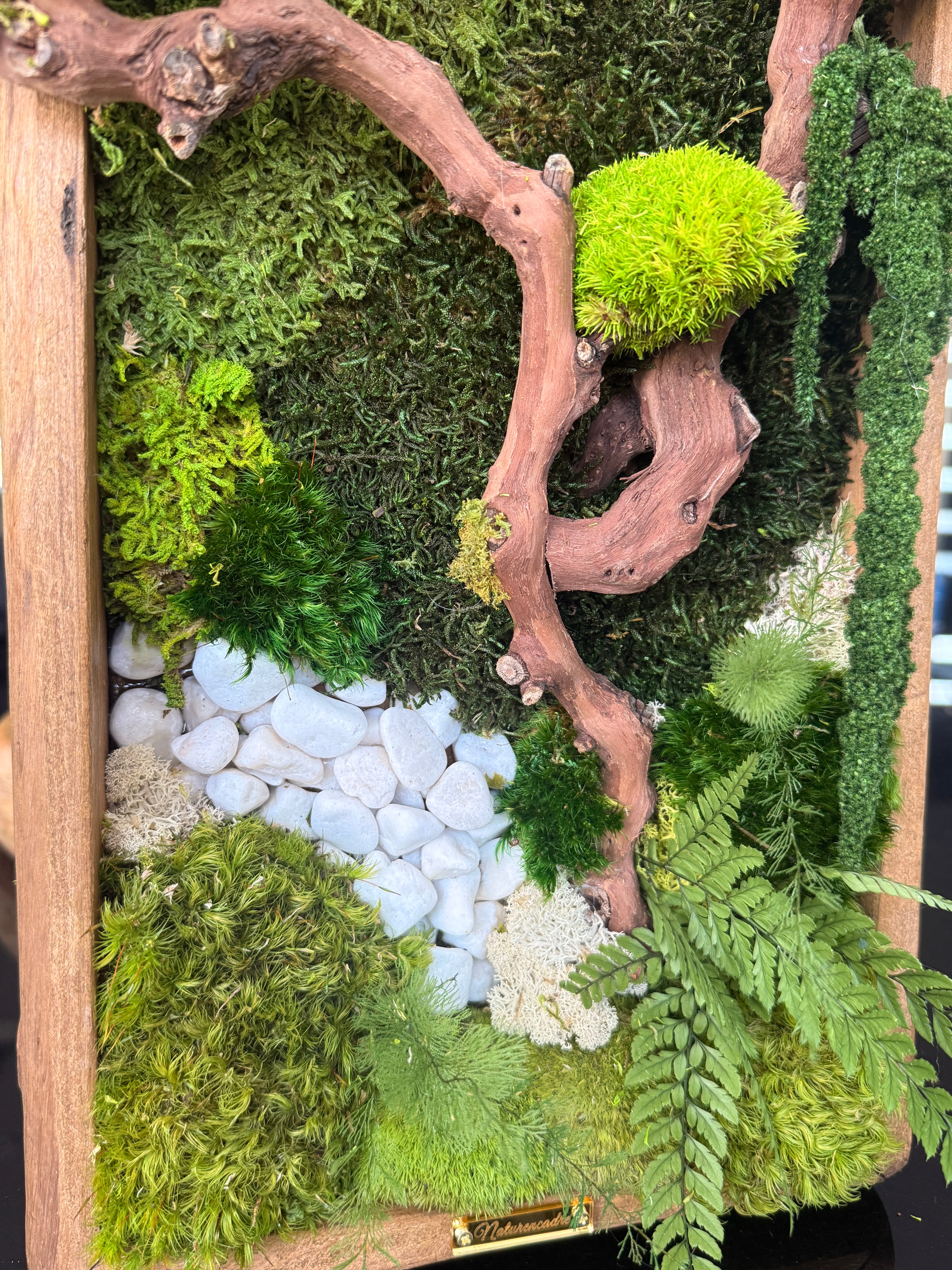 Cadre végétal stabilisé « Bonsaï Zen » – Pièce unique 50 × 25 cm