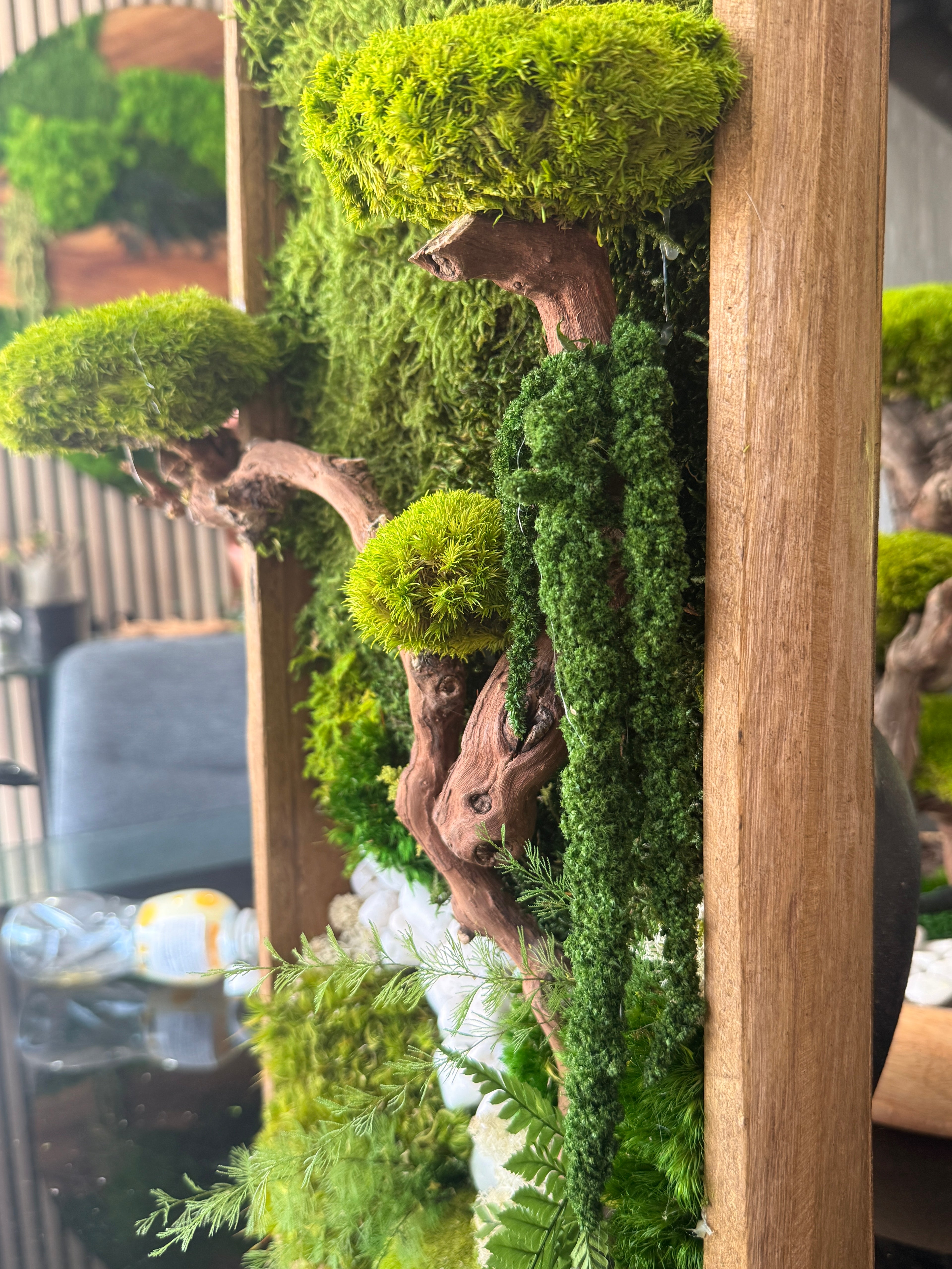Cadre végétal stabilisé « Bonsaï Zen » – Pièce unique 50 × 25 cm