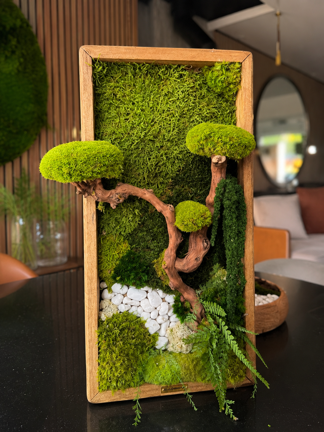 Cadre végétal stabilisé « Bonsaï Zen » – Pièce unique 50 × 25 cm