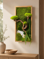 Cadre vegetal stabilisé bonsaï- Deco haut de gamme unique