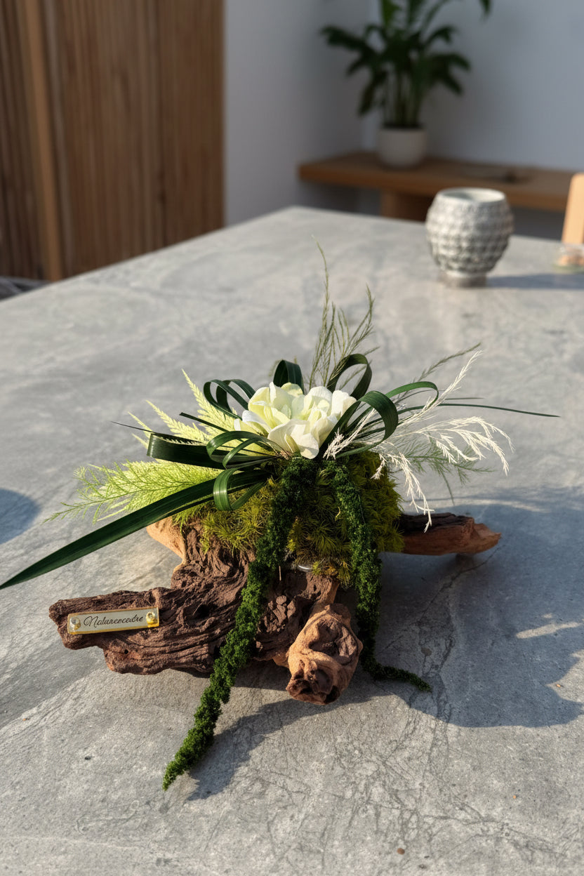 Centre de table végétal en bois de Mopani — Composition stabilisée artisanale