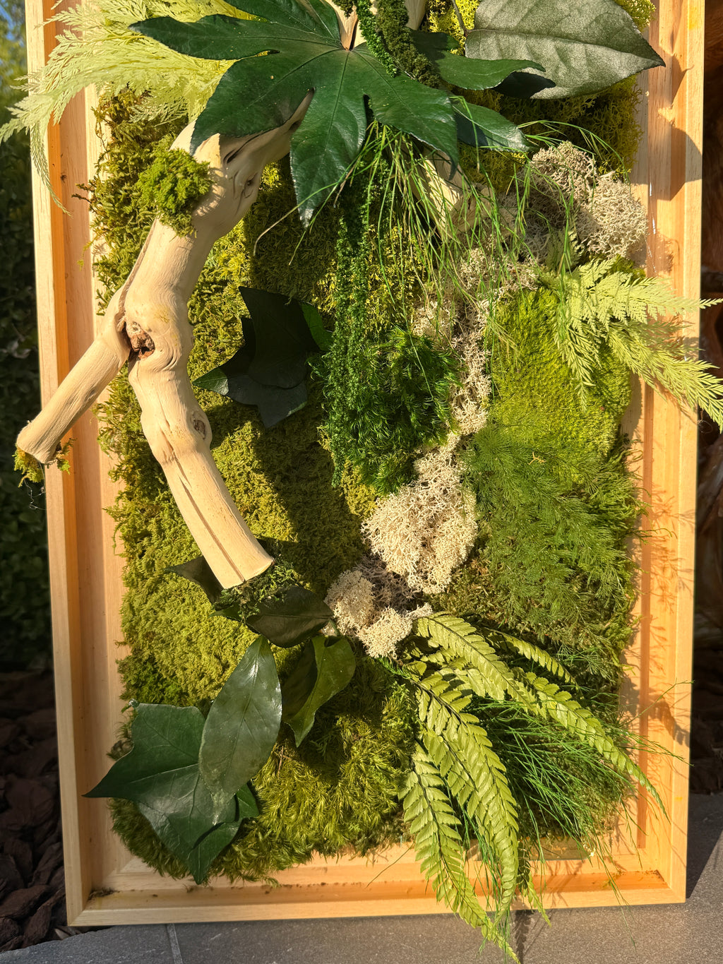 Cadre végétal stabilisé en bois flotté véritable – Œuvre murale naturelle – 100 × 35 cm – Pièce unique