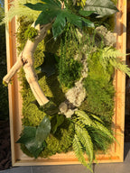 Cadre végétal stabilisé en bois flotté véritable – Œuvre murale naturelle – 100 × 35 cm – Pièce unique