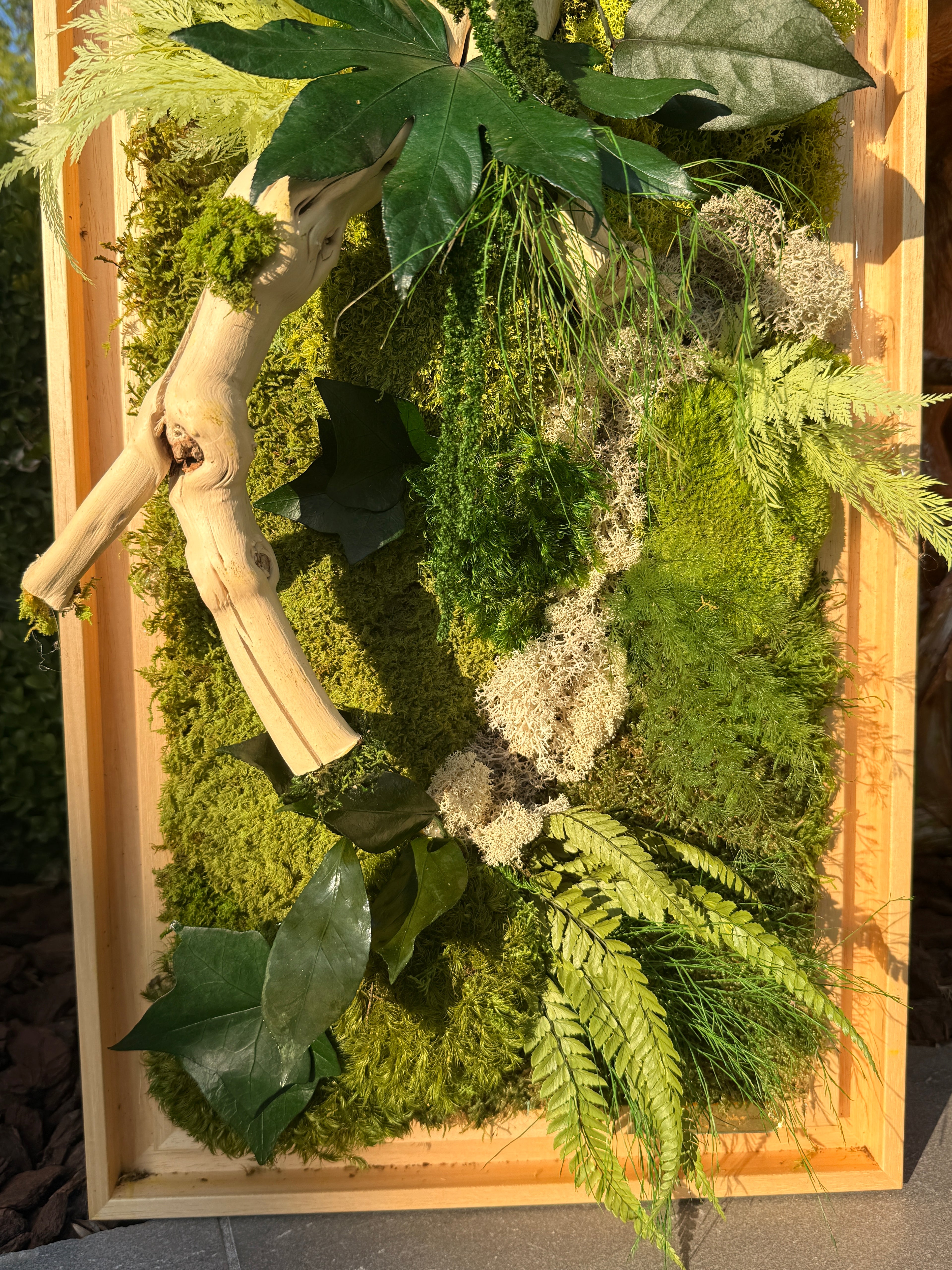 Cadre végétal stabilisé en bois flotté véritable – Œuvre murale naturelle – 100 × 35 cm – Pièce unique