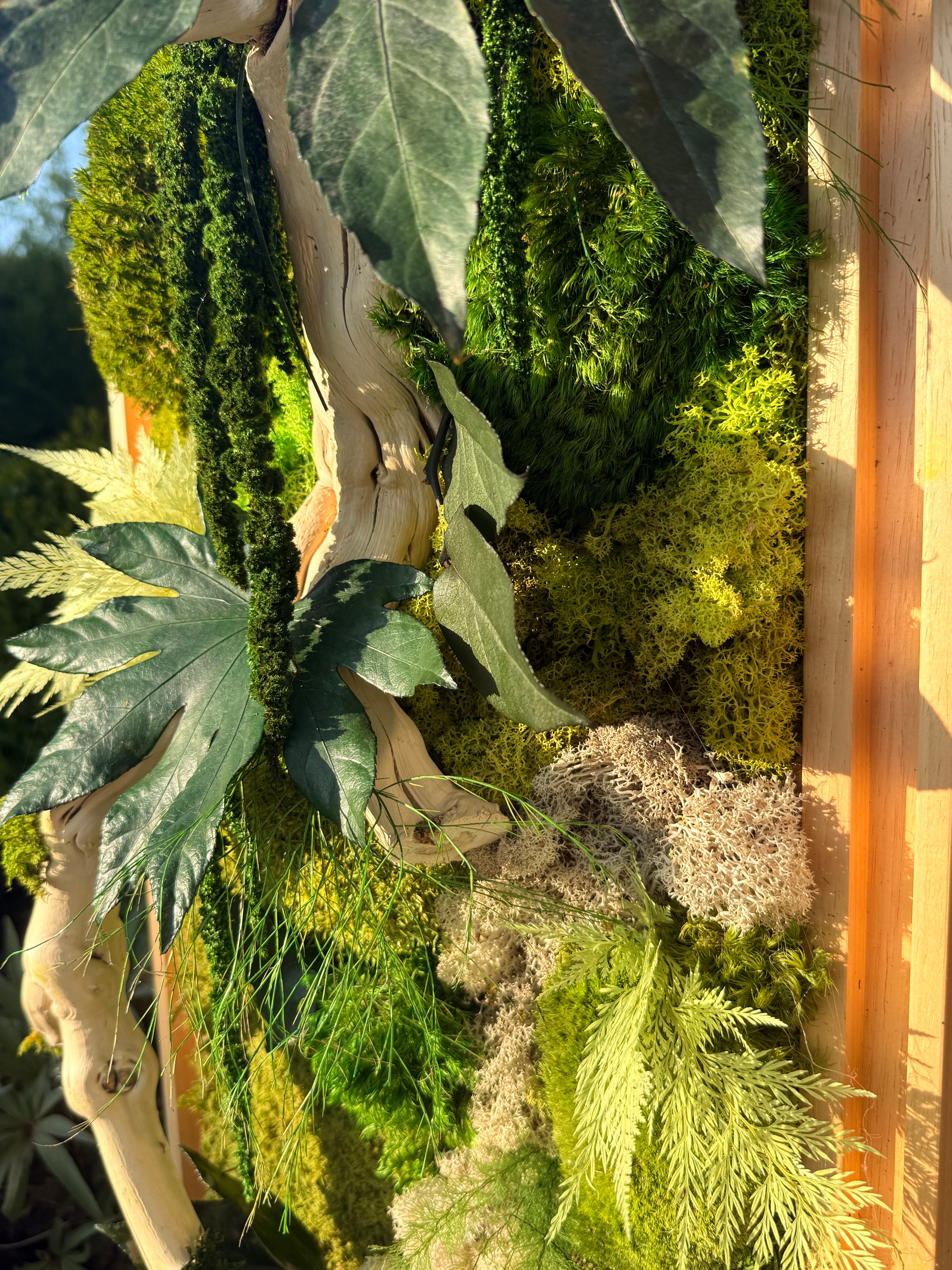 Cadre végétal stabilisé en bois flotté véritable – Œuvre murale naturelle – 100 × 35 cm – Pièce unique