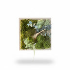 Cadre végétal stabilisé – 22 × 22 cm- Olivier stabilisé