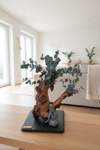 Bonsaï de la Sérénité – Bois de Mopani & eucalyptus stabilisé