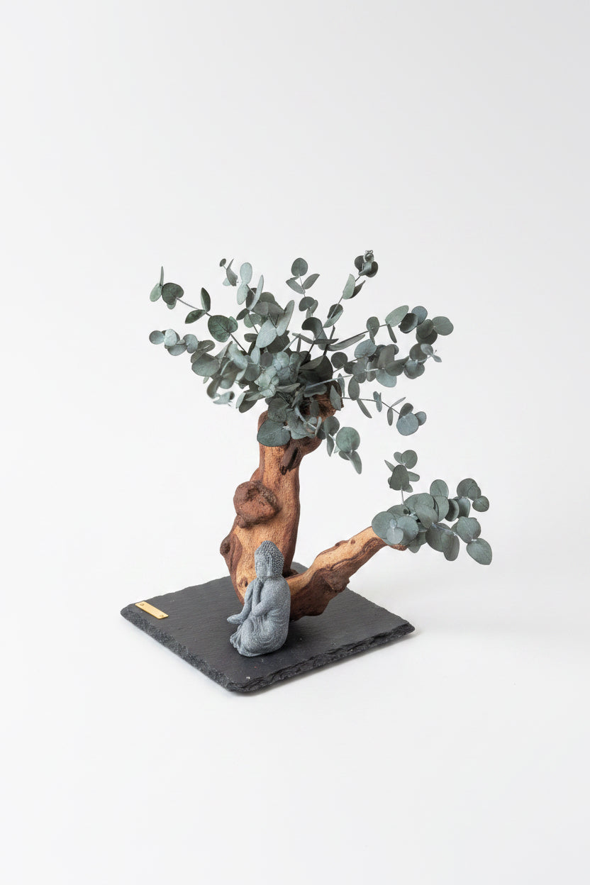 Bonsaï de la Sérénité – Bois de Mopani & eucalyptus stabilisé