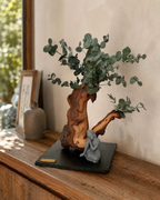 Bonsaï de la Sérénité – Bois de Mopani & eucalyptus stabilisé