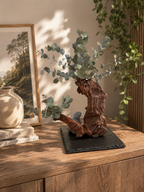 Bonsaï de la Sérénité – Bois de Mopani & eucalyptus stabilisé