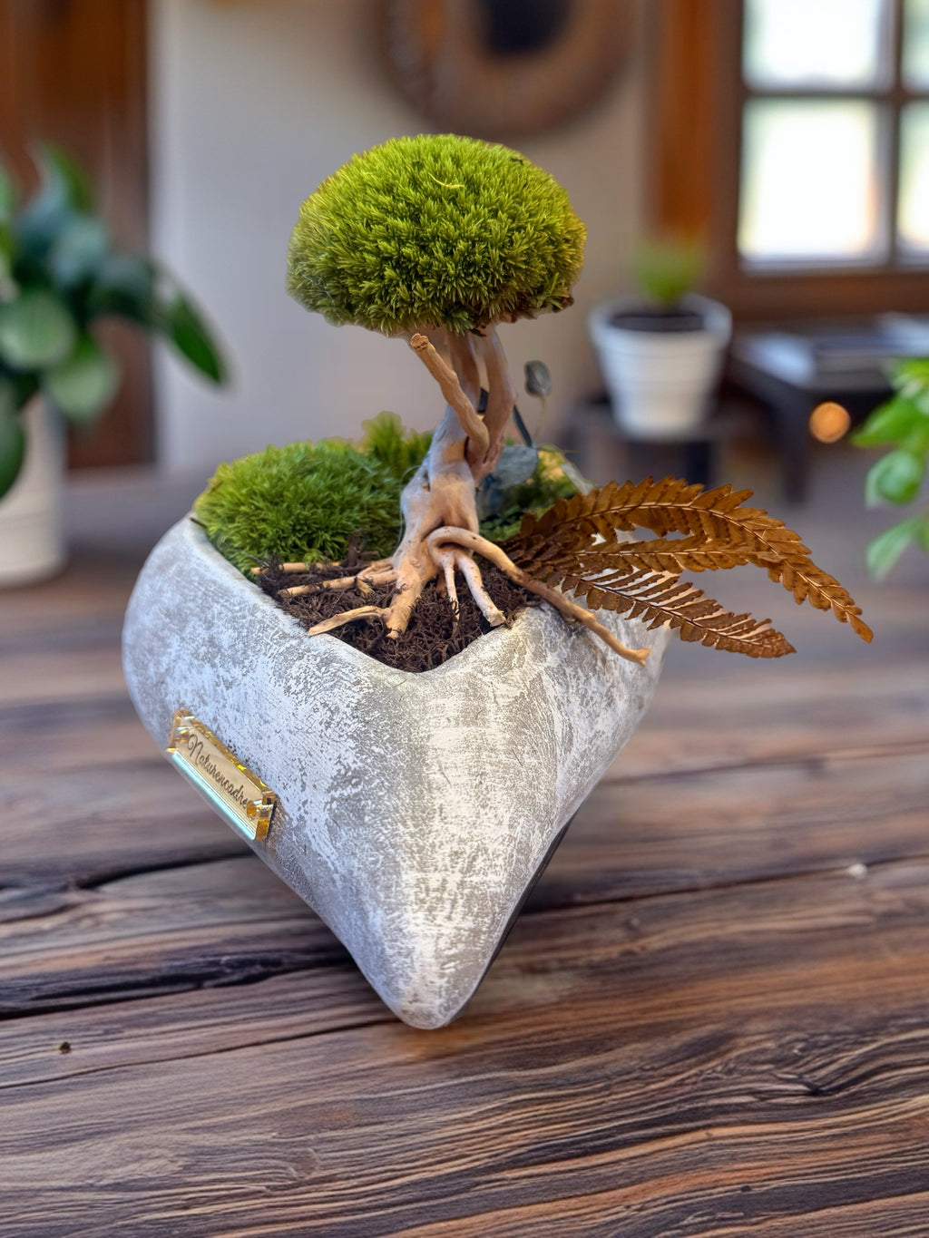 Bonsaï stabilisé Cœur Sauvage – Jardin végétal en cœur minéral