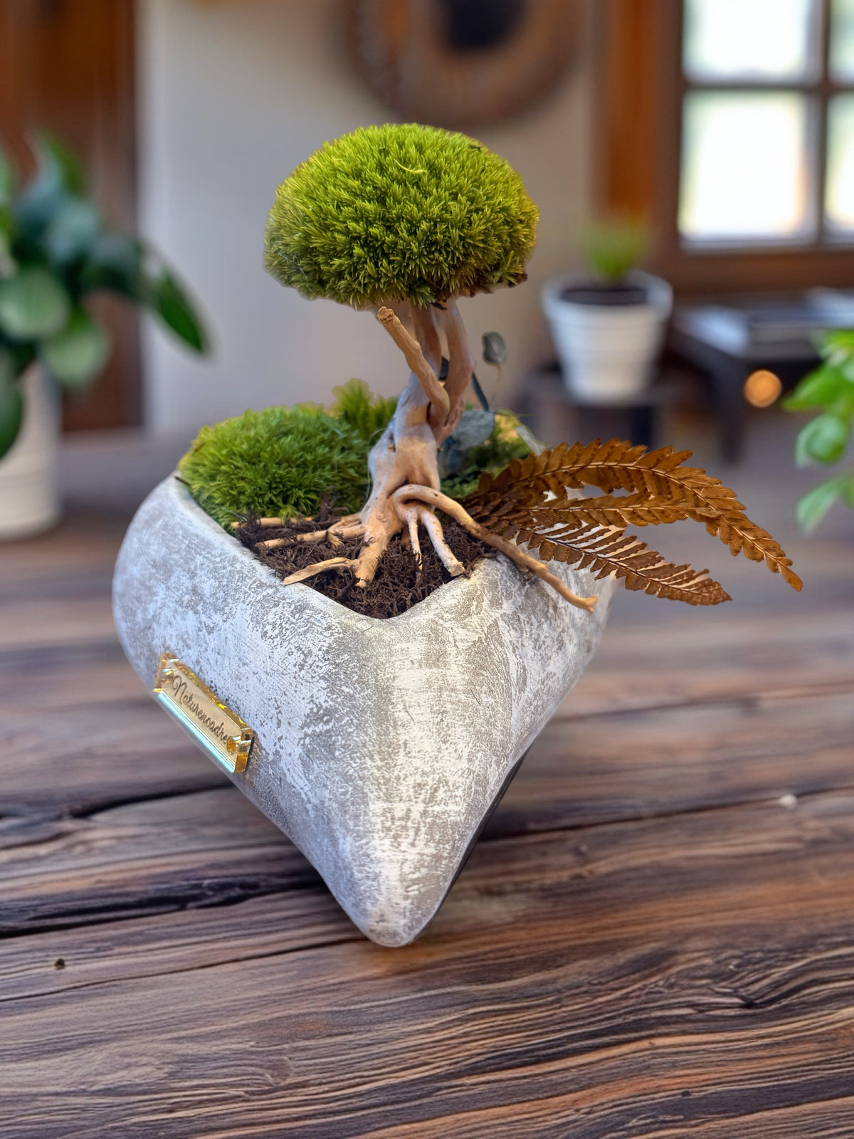 Bonsaï stabilisé Cœur Sauvage – Jardin végétal en cœur minéral