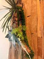 Éclat Sauvage – Sculpture végétale en bois de Mopani