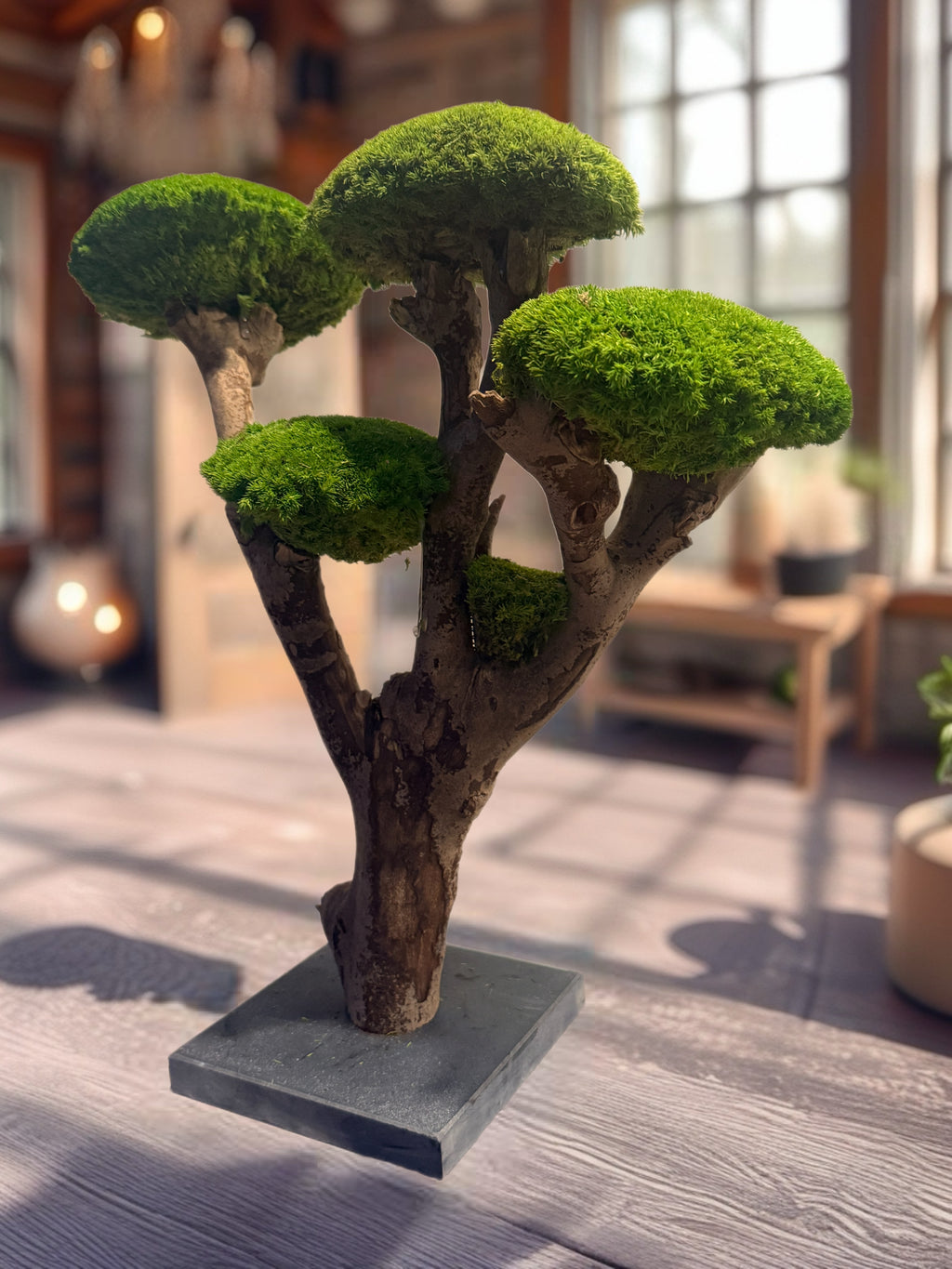     Bonsaï stabilisé en bois naturel de Talawa avec plateaux de mousse stabilisée – vue latérale