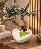     Bonsaï végétal stabilisé en bois de vigne avec mousse et chrysanthème japonais rose clair