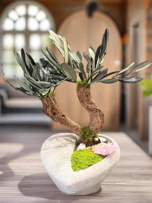     Bonsaï stabilisé en bois de vigne dans un cœur en béton gris – Naturencadre