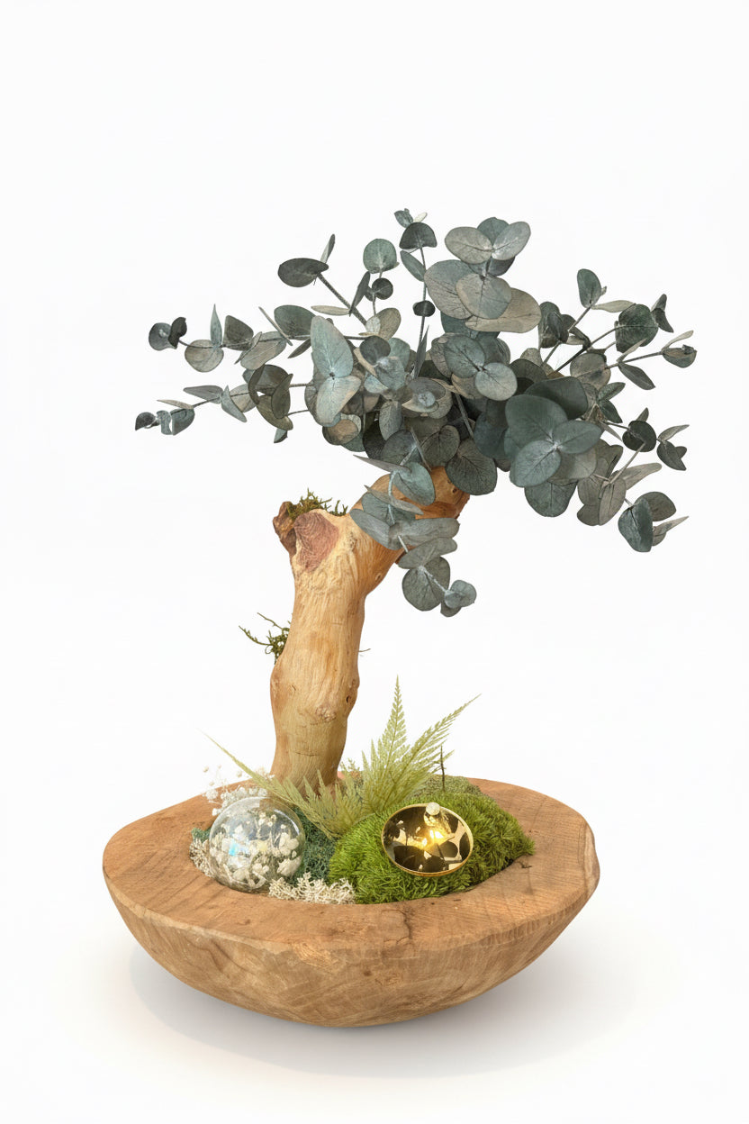 Bonsaï lumineux en eucalyptus stabilisé sur teck – Pièce unique