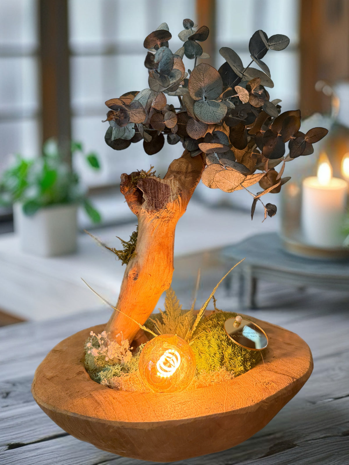 Bonsaï lumineux en eucalyptus stabilisé sur teck – Pièce unique