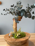     Bonsaï lumineux en eucalyptus stabilisé sur teck mis en scène dans un salon – Naturencadre