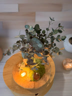 Bonsaï lumineux en eucalyptus stabilisé sur teck – Pièce unique