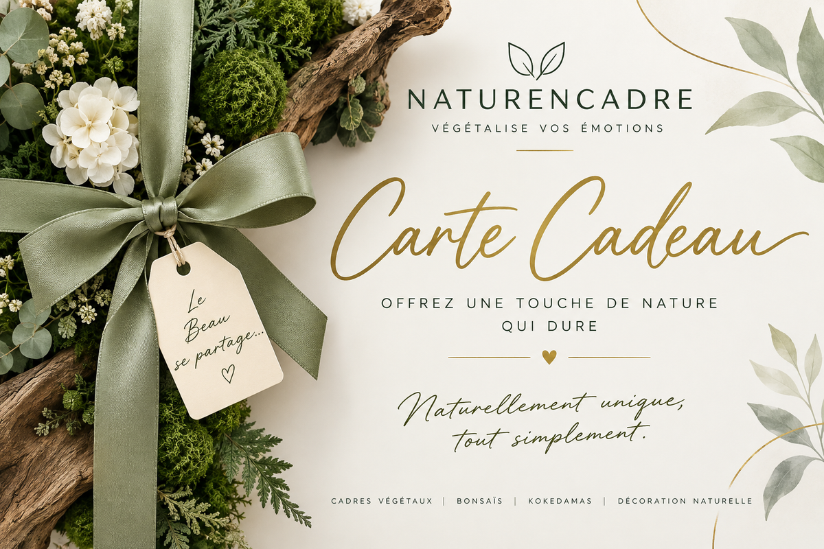 Carte cadeau Naturencadre