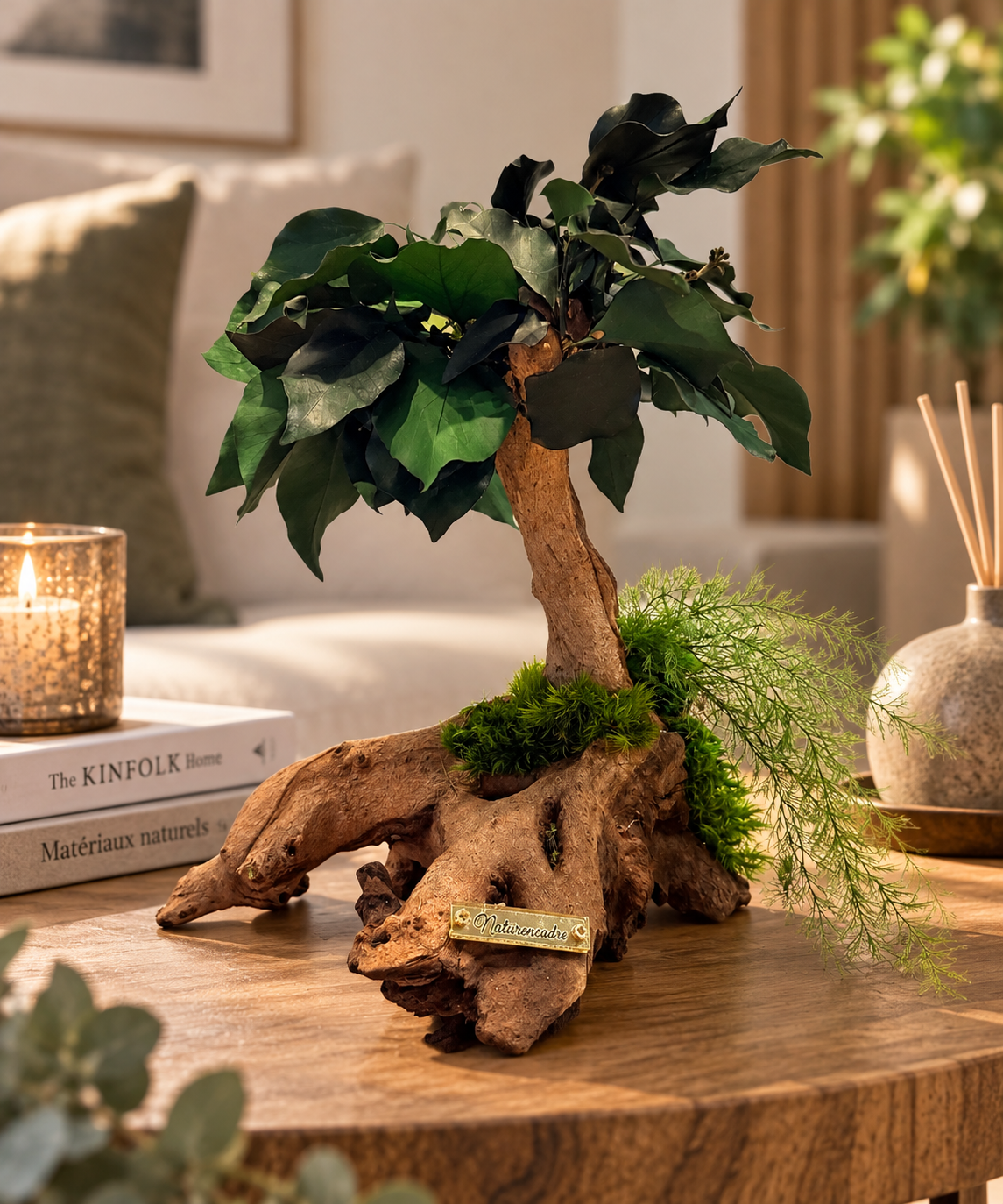 Arbre bonsaï ficus stabilisé, pièce unique haut de gamme