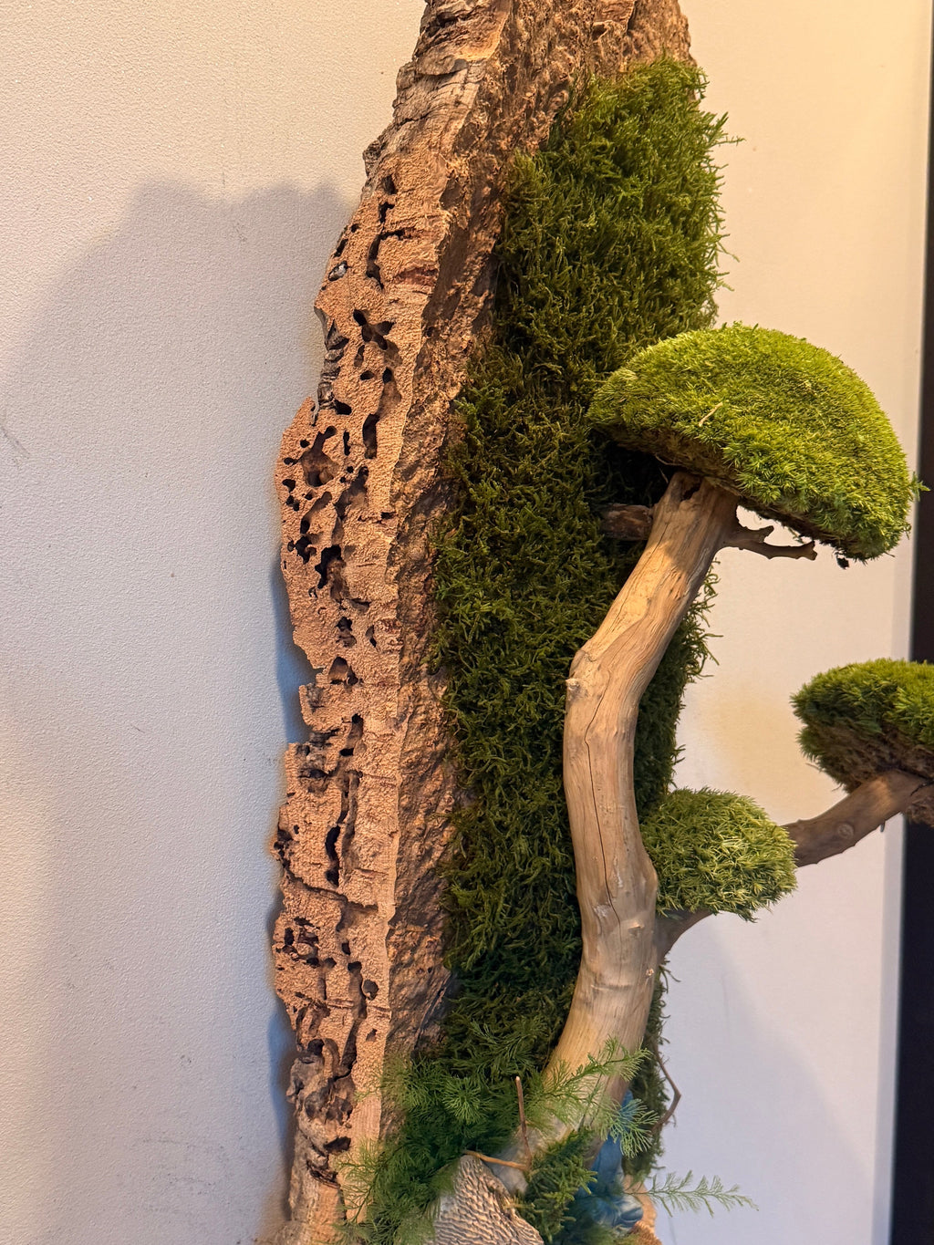 Bonsaï des Falaises – Sculpture végétale murale