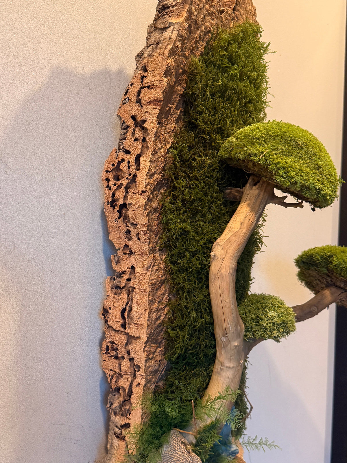 Bonsaï des Falaises – Sculpture végétale murale