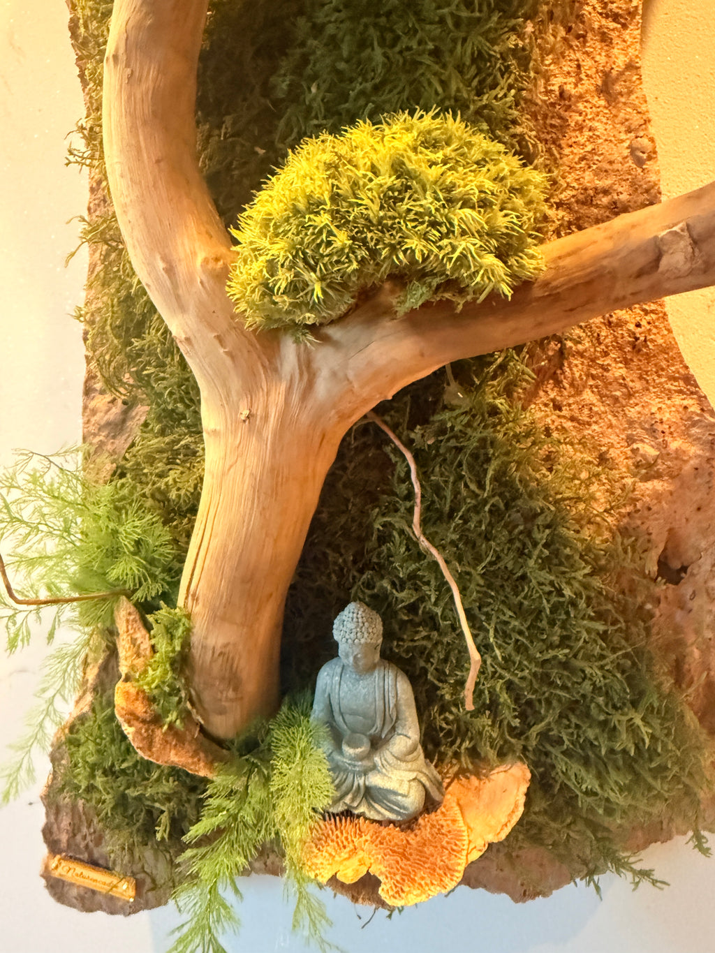 Bonsaï des Falaises – Sculpture végétale murale