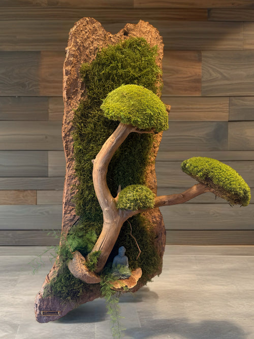 Bonsaï des Falaises sculpture végétale murale en écorce de liège, bois naturel et mousse stabilisée avec Bouddha – Naturencadre