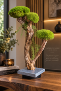 Grand bonsaï stabilisé nuage- Décoration végétale luxe unique- Naturencadre