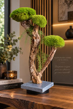 Grand bonsaï stabilisé nuage- Décoration végétale luxe unique- Naturencadre
