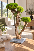 L’Arbre des Nuages – Bonsaï végétal stabilisé en bois de Talawa