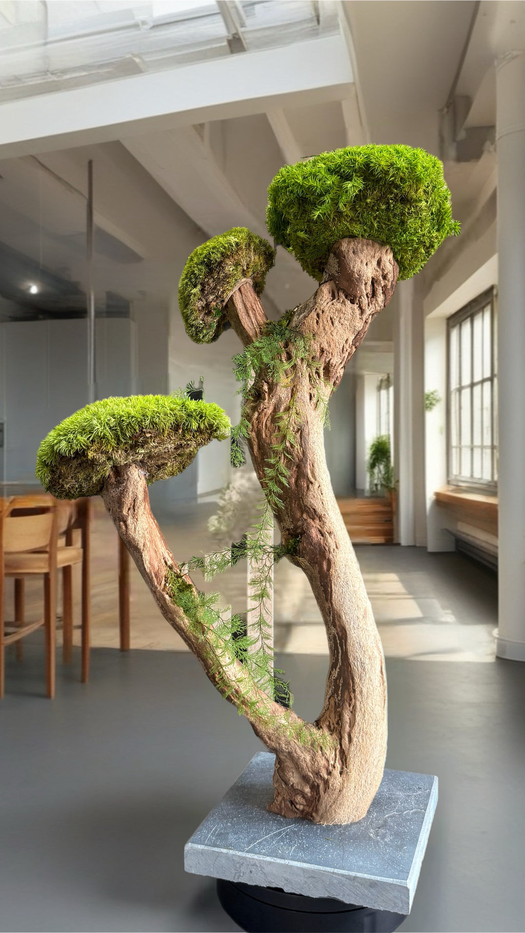 L’Arbre des Nuages – Bonsaï végétal stabilisé en bois de Talawa