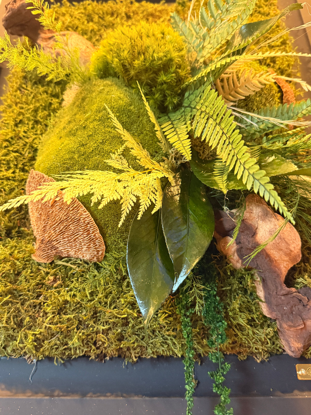 Échappée Sauvage – Tableau végétal stabilisé 3D
