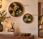 Duo de cadre vegetal stabilisés rond en bois