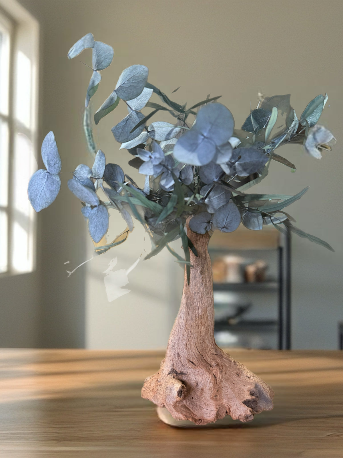 L’Élan d’Argent – Bonsaï décoratif en eucalyptus stabilisé