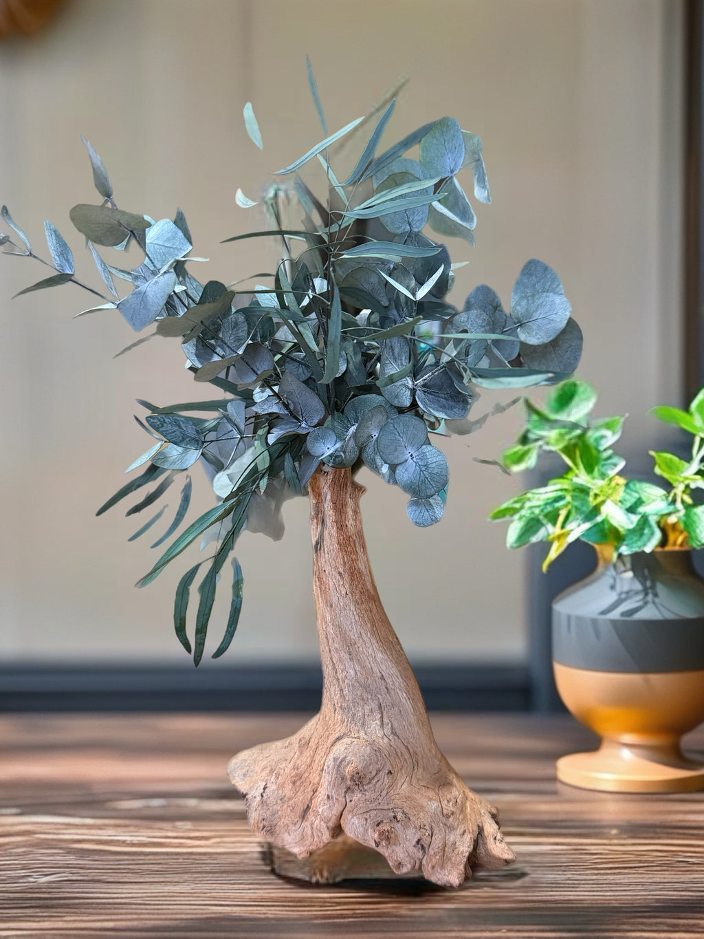 L’Élan d’Argent – Bonsaï décoratif en eucalyptus stabilisé
