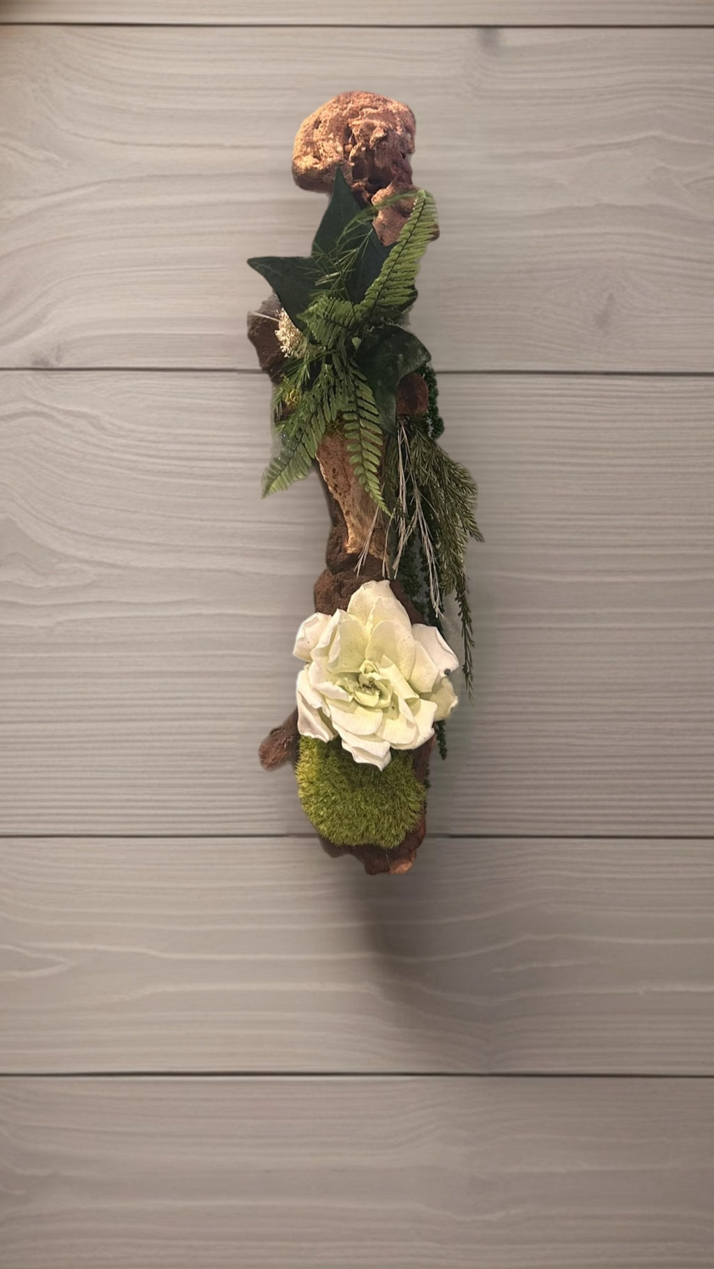 Éclat de sous-bois – Décoration murale végétale en mopani, 38 cm