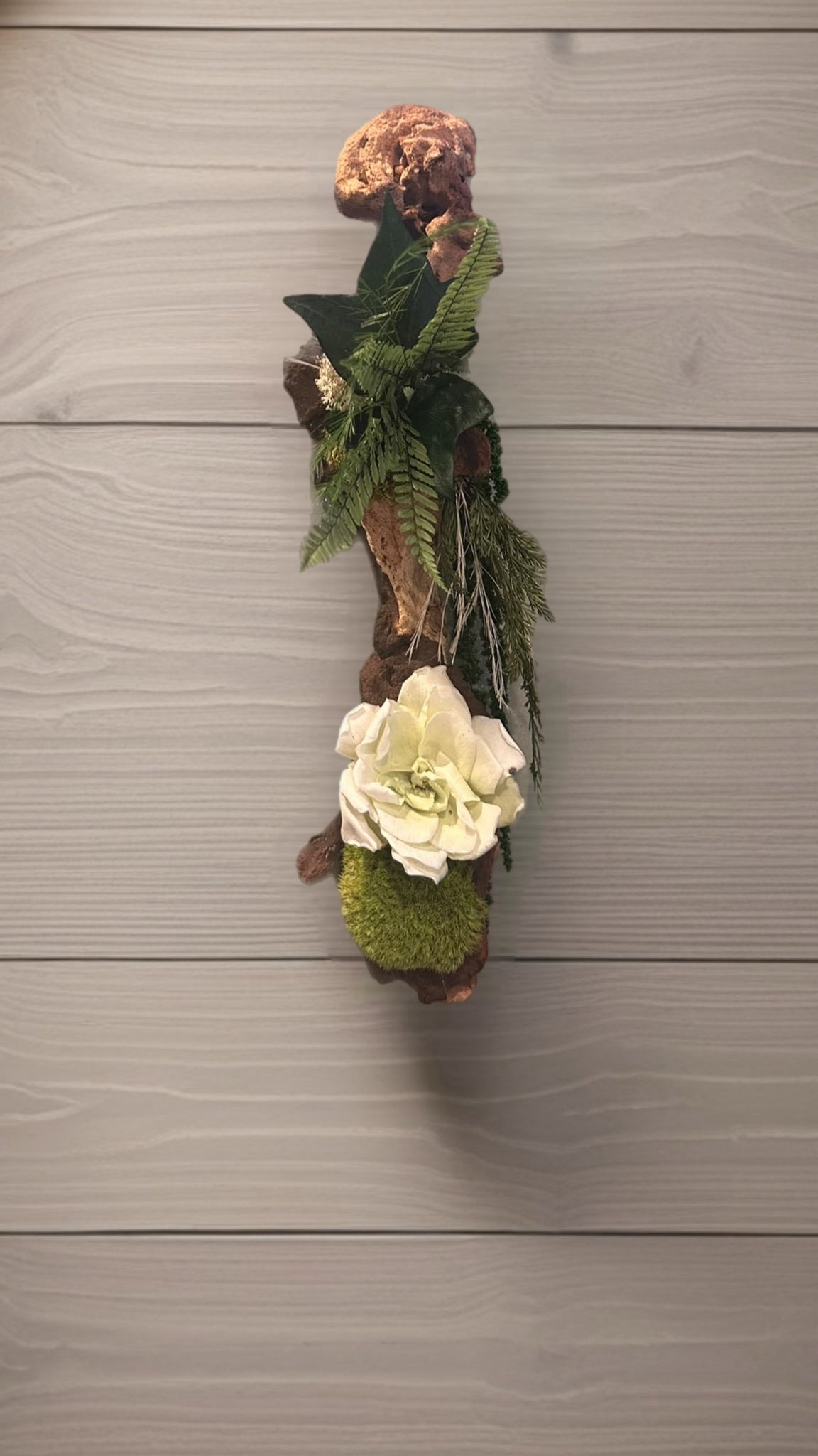 Éclat de sous-bois – Décoration murale végétale en mopani, 38 cm