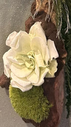Éclat de sous-bois – Décoration murale végétale en mopani, 38 cm