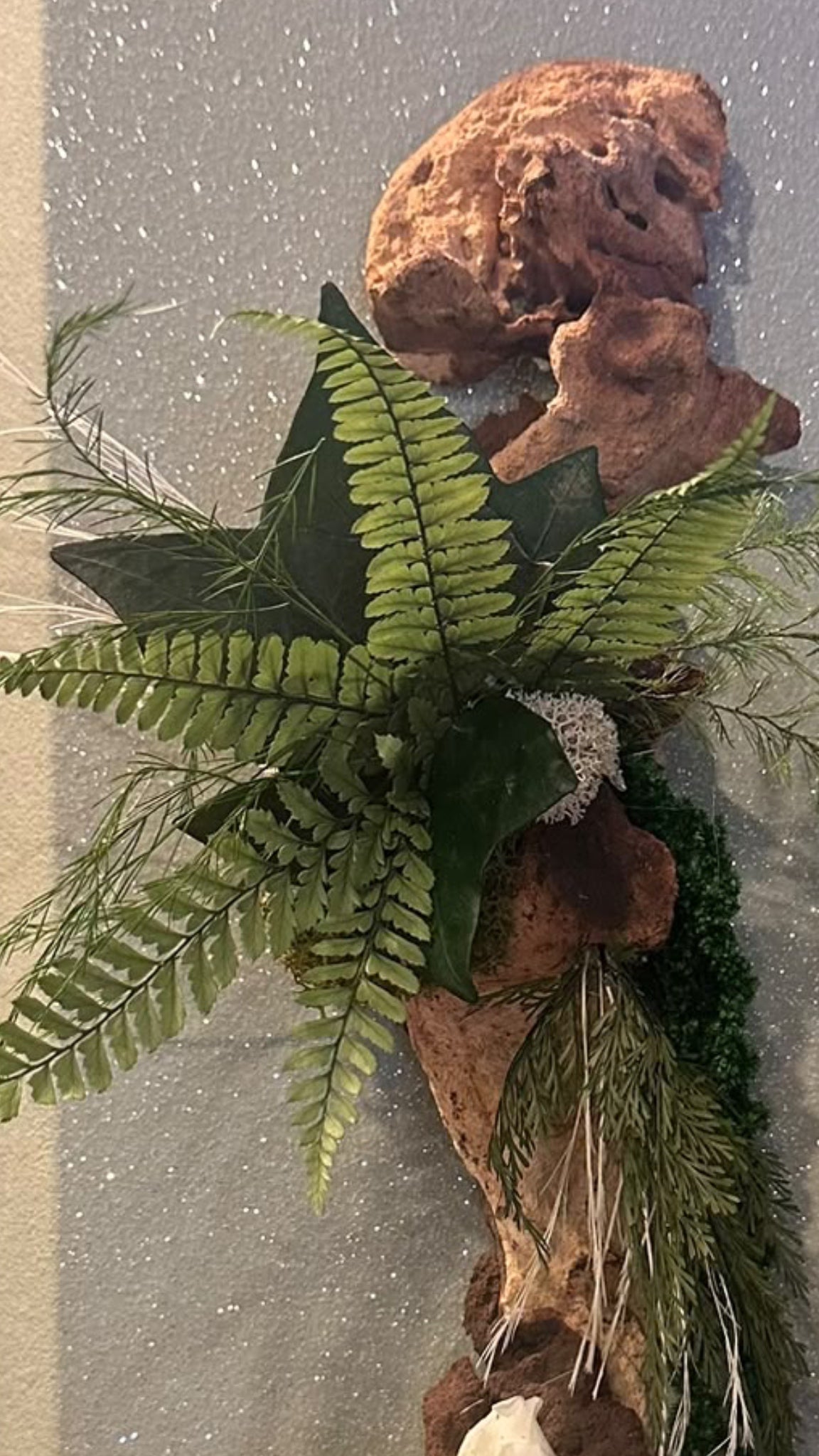 Éclat de sous-bois – Décoration murale végétale en mopani, 38 cm