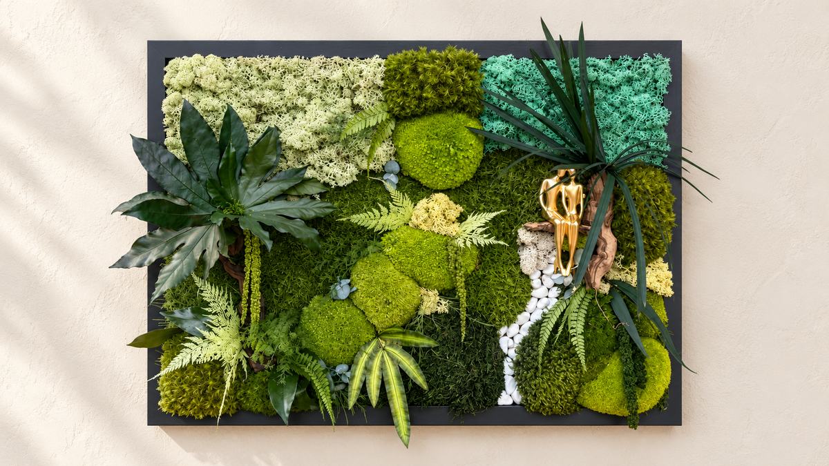 Cadre végétal stabilisé lumineux 75x55 | Pièce unique | « L'Étreinte Tropicale » – Décoration nature luxe