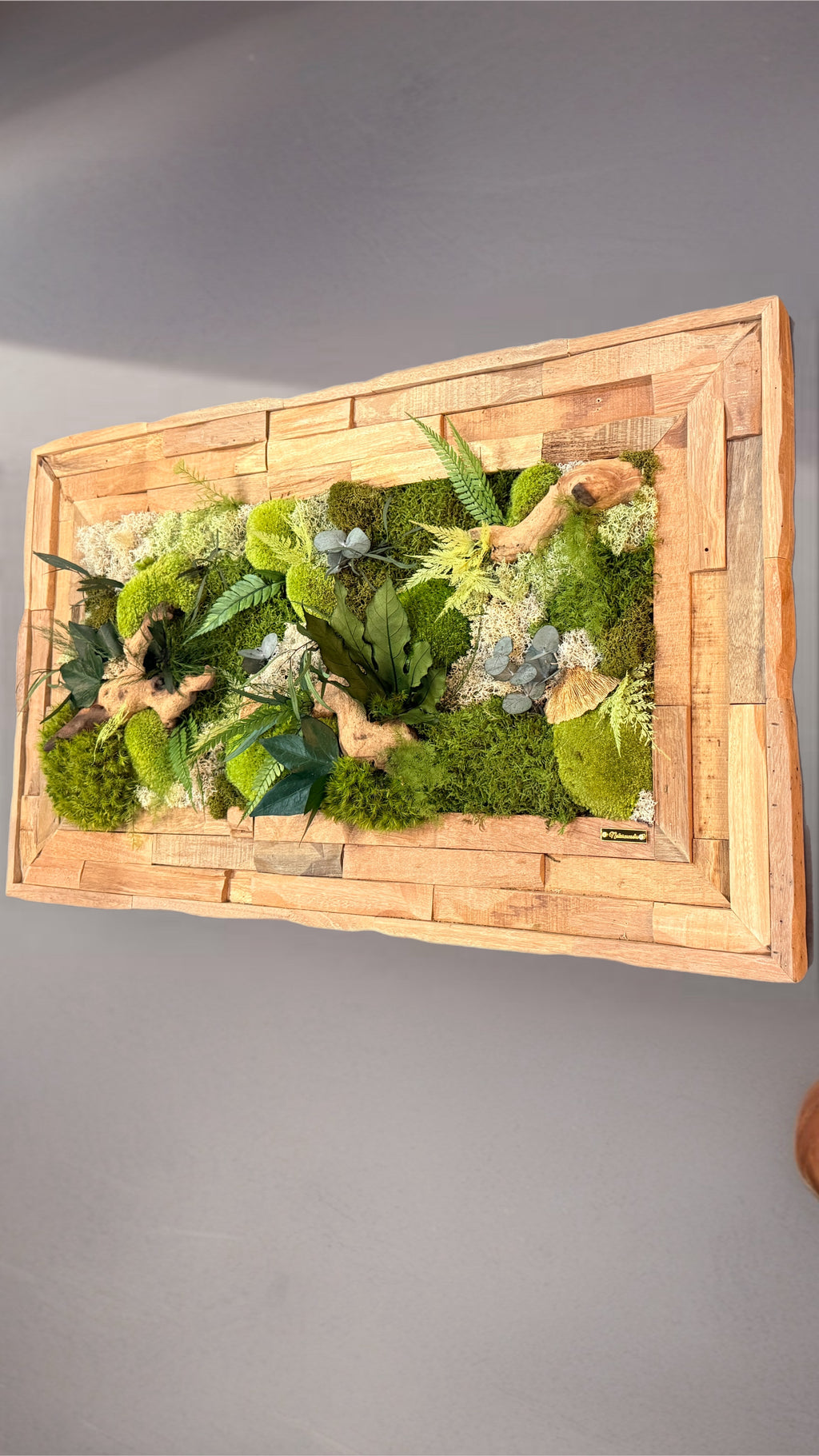 Échappée Sylvestre — Tableau végétal stabilisé, cadre en bois fait main