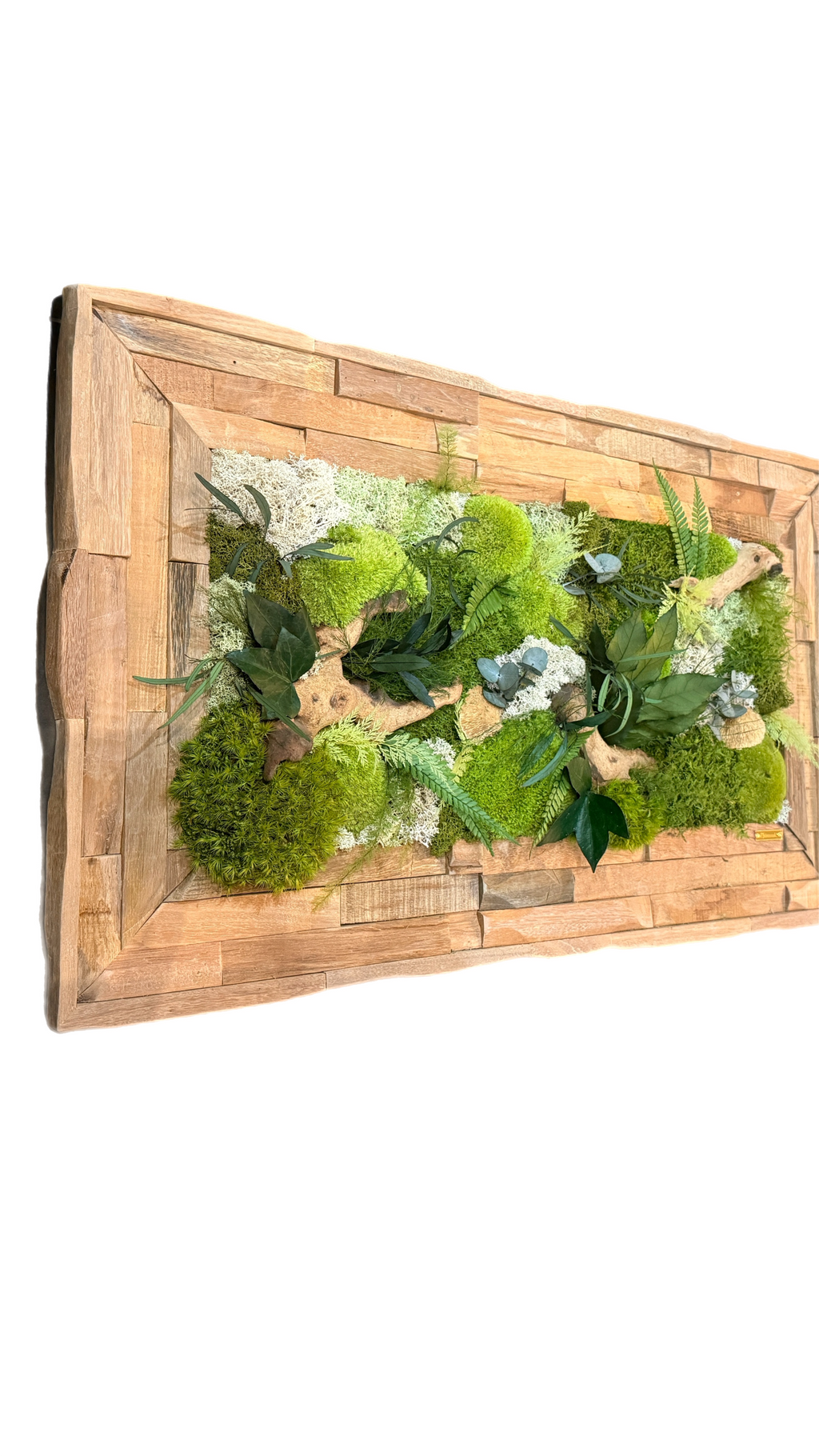 Échappée Sylvestre — Tableau végétal stabilisé, cadre en bois fait main