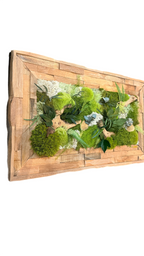 Échappée Sylvestre — Tableau végétal stabilisé, cadre en bois fait main