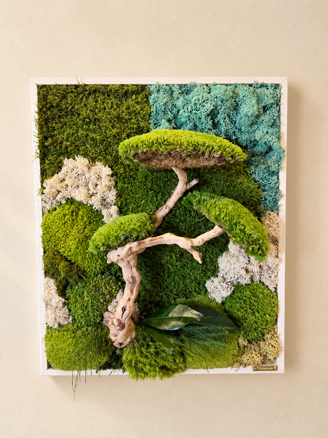 Canopée d’Émeraude – Tableau végétal stabilisé avec bonsaï en relief