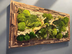 Canopée Sauvage – Tableau végétal stabilisé 125 × 60 cm