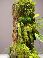 Le Totem végétal – Sculpture murale en écorce, 58 × 23 cm